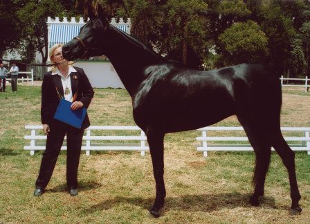 Click to Enlarge -  Bint Mashhar Bouznika, Morocco's winner of the 2005 WAHO Troph