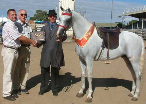 Presenting the beautiful WAHO Trophy to the 2005 winner, Shaheer Prince Cyclone and Fanie Maritz are Johan du Plessis (President of Arab Horse Society of South Africa) and Prof. Philip Boyazoglu (the South African delegate to WAHO).