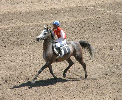 Click to Enlarge - Mara on her way to the start.  Her excellent race record made her Kazakhstan's choice as their 2005 WAHO trophy winner.