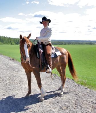 Click to Enlarge - Zantos, 2005 WAHO Trophy winner for Norway, resplendent in his western riding finery.