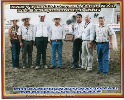 Click to Enlarge - left to Right: Mrs. Malou De Canelon, Mr. Juan Pernalete, 3 sons of owner Mr. Eugenio Caballero, Festival, Dr. Jose Luis Canelon Registrar, ASOARABE), and Mr. Reinaldo Herrera (President, ASOARABE)