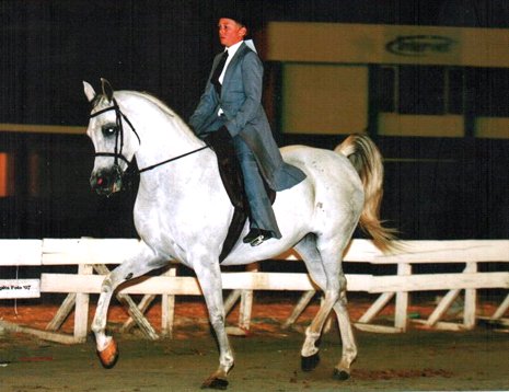Click to Enlarge - Photo: Sidi Obsession ridden by Jackie Maritz Jr.