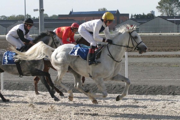 Onado showing his exceptional enthusiasm for racing which helped him win Belgium's 2005 WAHO Trophy. (Photo credit: Lamia Leclerq)