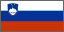 Flag of SLOVENIA