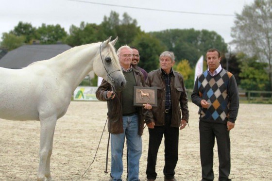 JK Omar Belgium 2013 WAHO Trophy Winner