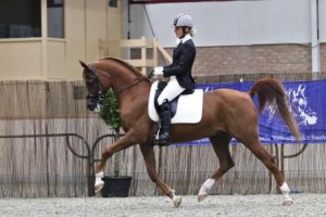 Vestival competing in dressage