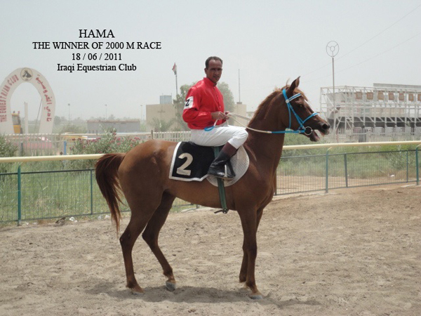 HAMA, 2011 WAHO Trophy Winner, Iraq