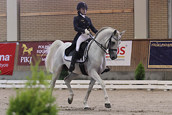 Echo Apollo (Piaff / Echo Kallisto) at the European Championships for Sport Horses in Janow Podlaski 2013 (Photo: G. Waiditschka / IN THE FOCUS)