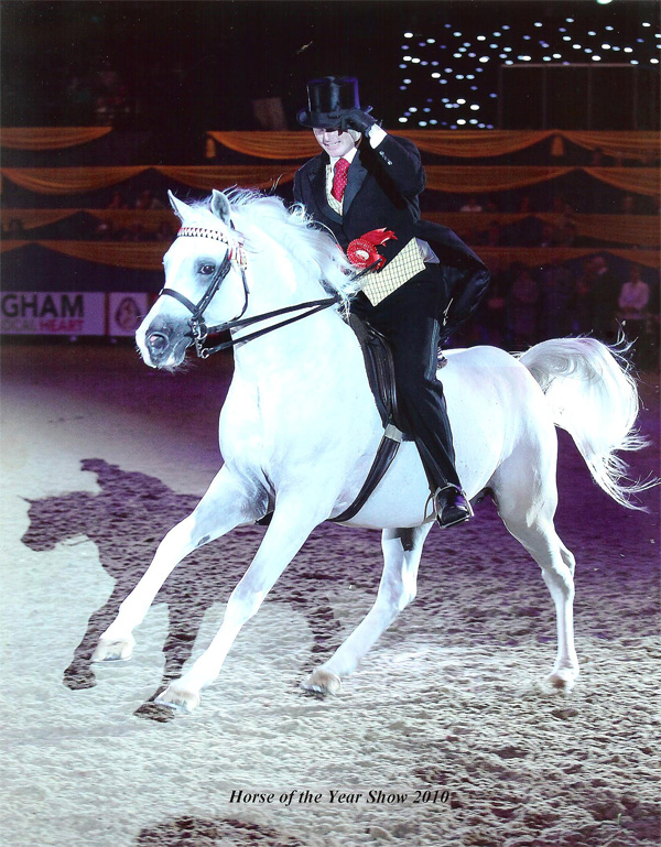 Silvern Prince ridden by Darren Crowe, winning the title of Ridden Arabian of the Year at the 2010 Horse of the Year Show.