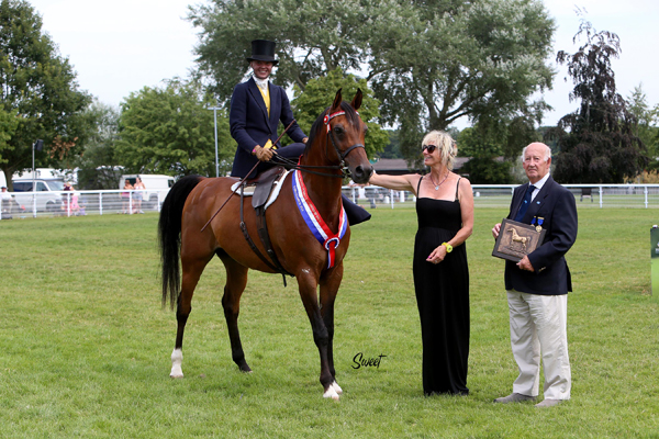 The Trophy was presented to breeder Caroline Reid and to Jessica Amess by David Angold, WAHO TreasurerPhoto: Marilyn Sweet