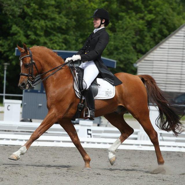 Fair Orkan ridden by Lise Frandsen