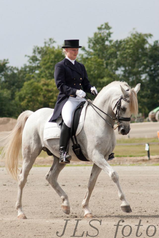 Tamon ridden by Shannon Viuf