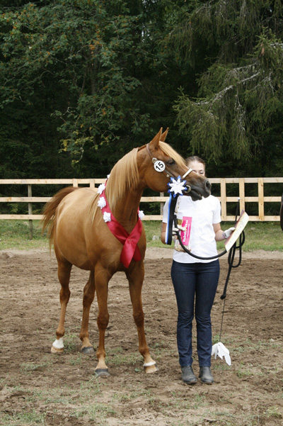 Aaliyah with Handler Doris Tedre and Aaliyah winning the senior mare class