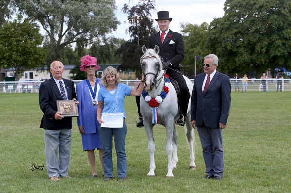 Photo L-R:  David Angold, WAHO Treasurer; Judy Phillips, AHS President; Caroline Sussex; Silvern Prince ridden by Darren Crowe; Dr. Marek Trela, WAHO Executive Committee Member.