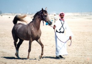 Ma'anaghieh Dana (1996, Dhahmaan Shaban/Ma'anaghieh Faida)