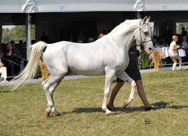 Eldon, Poland WAHO Trophy winner in 2013 during his WAHO Trophy presentation at the age of 28 