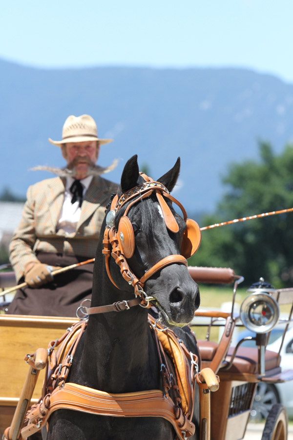 Caid Jabbar, WAHO Trophy Winner of 2014Foto: G. Waiditschka / IN THE FOCUS