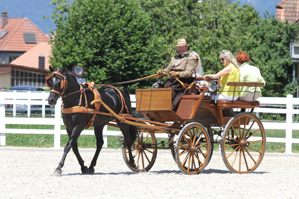 Caid Jabbar, WAHO Trophy Winner of 2014Foto: G. Waiditschka / IN THE FOCUS