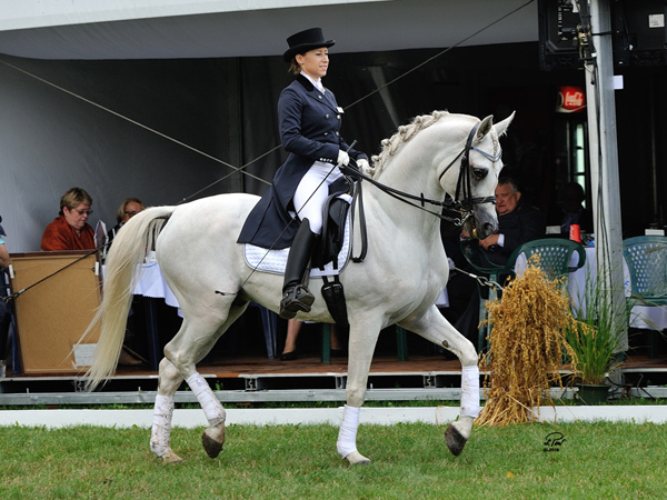 Dressage display given by Echo Apollo, ridden by his owner, Kaja Dembińska