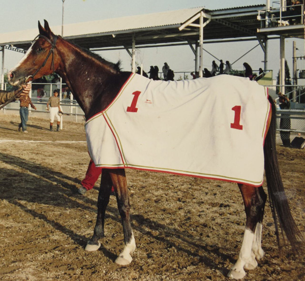 Mahrokh in her younger days at the racetrack