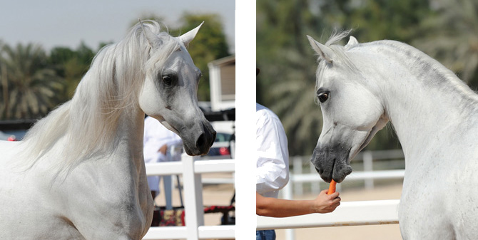 (left) Rihab Al Nasser and (right) Anood Al Nasser