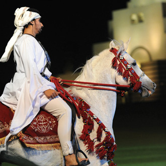 Horse at Opening dinner_5746 copy-330px