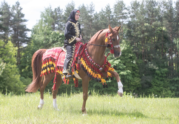 Olga Sivec with her stallion, Startas