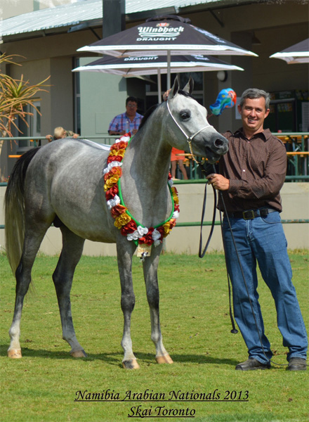 Skai Toronto, 2015 WAHO Trophy Winner in Namibia