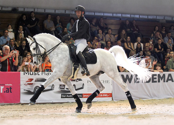 EXQUISITE's FANTASY performing Dressage up to high level.