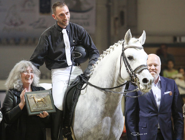 EXQUISITE'S FANTASY - WAHO Trophy Winner 2015 for Austria