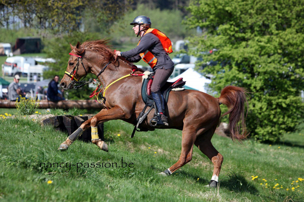 RUKBAN DIKRUHU MMN - 2015 WAHO Trophy Winner of Belgium